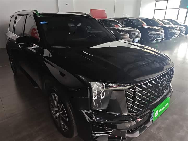 GAC Trumpchi GS8 2024 2024款 领航系列 2.0TGDI 两驱豪华智联版