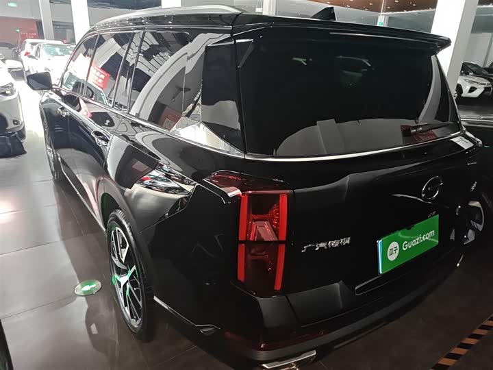 GAC Trumpchi GS8 2024 2024款 领航系列 2.0TGDI 两驱豪华智联版