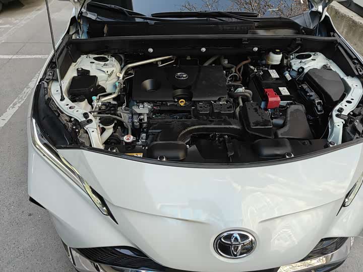 Toyota Venza 2024 2024款 2.0L CVT两驱尊贵版