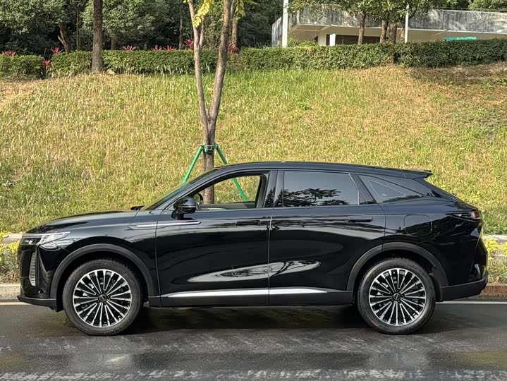 Exeed RX C-DM Hybrid 2024 2024款 1.5T 长续航Pro