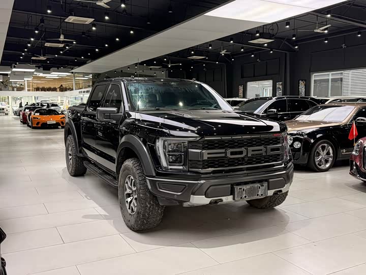 Ford F-150 Raptor 2023 2023款 3.5T 猛禽