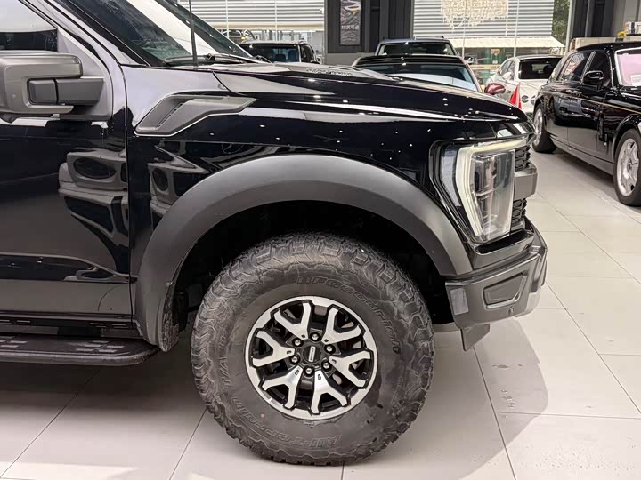 Ford F-150 Raptor 2023 2023款 3.5T 猛禽