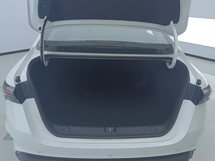 Geely Binrui 2024 2024款 缤瑞COOL 1.5T DCT冠军版