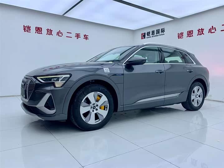 Audi e-tron 2021 2021款 50 quattro 豪华型