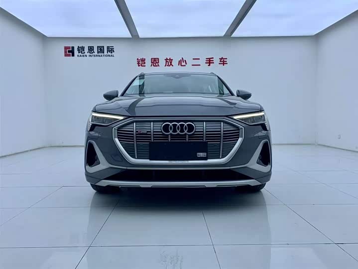 Audi e-tron 2021 2021款 50 quattro 豪华型