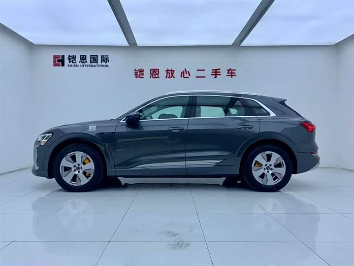 Audi e-tron 2021 2021款 50 quattro 豪华型
