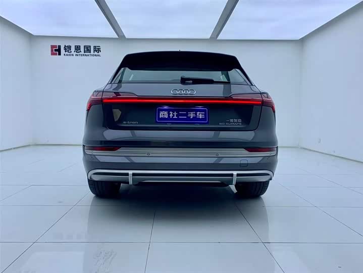 Audi e-tron 2021 2021款 50 quattro 豪华型