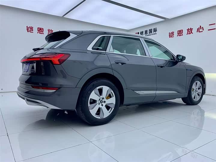 Audi e-tron 2021 2021款 50 quattro 豪华型