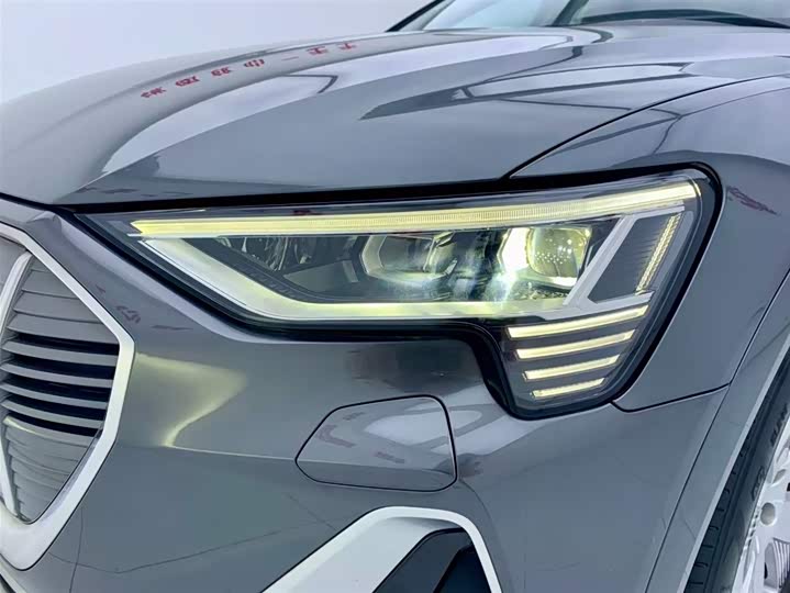 Audi e-tron 2021 2021款 50 quattro 豪华型