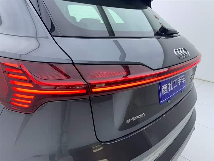 Audi e-tron 2021 2021款 50 quattro 豪华型