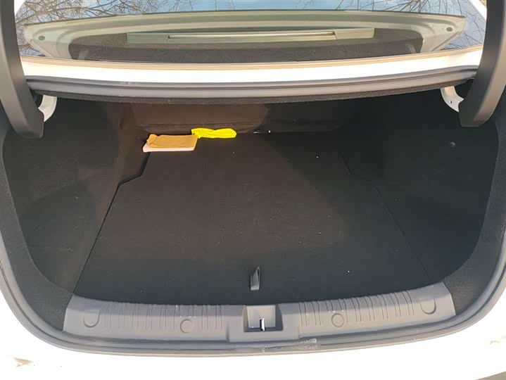 BYD Qin L 2025 2025款 DM-i 智驾版 120KM领先型