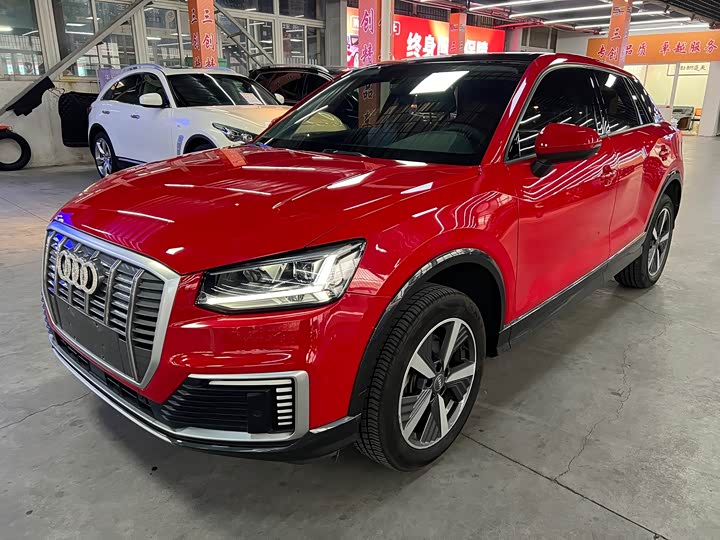 Audi Q2L e-tron 2019 2019款 Q2L e-tron 纯电智享型