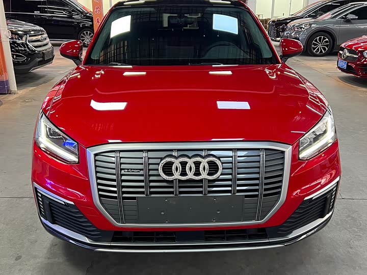 Audi Q2L e-tron 2019 2019款 Q2L e-tron 纯电智享型