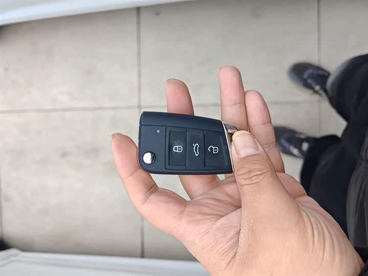 Volkswagen Lavida 2024 2024款 300TSI DSG星空领先版