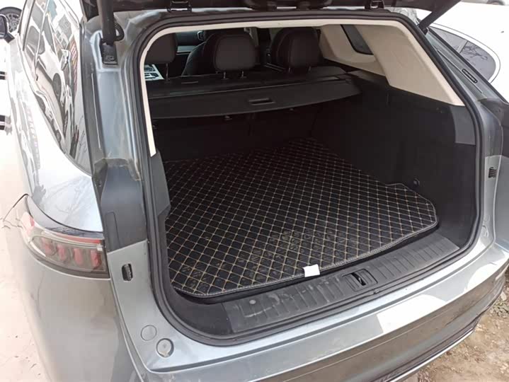 Chery Tiggo 9 2023 2023款 改款 2.0T 自动两驱豪华版 5座