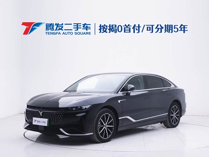 Voyah Passion 2024 2024款 PHEV 四驱超长续航行政版