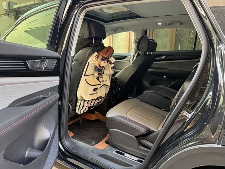 Volkswagen Teramont X 2024 2024款 途昂X 380TSI 四驱龙耀版