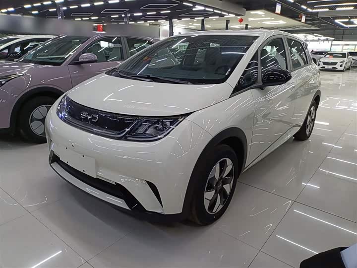BYD Dolphin 2025 2025款 420km 自由版