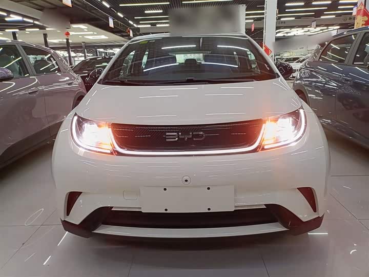 BYD Dolphin 2025 2025款 420km 自由版