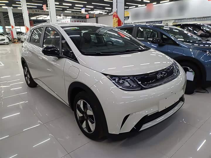 BYD Dolphin 2025 2025款 420km 自由版