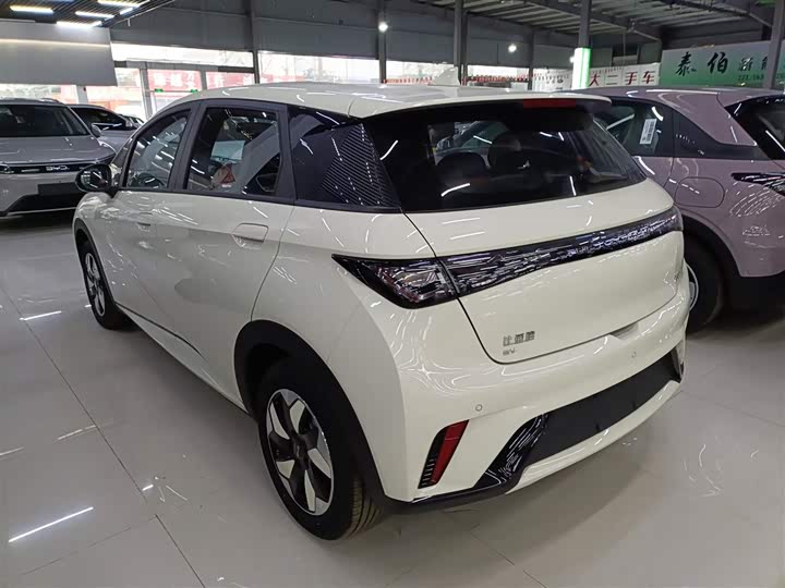 BYD Dolphin 2025 2025款 420km 自由版