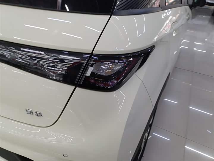 BYD Dolphin 2025 2025款 420km 自由版