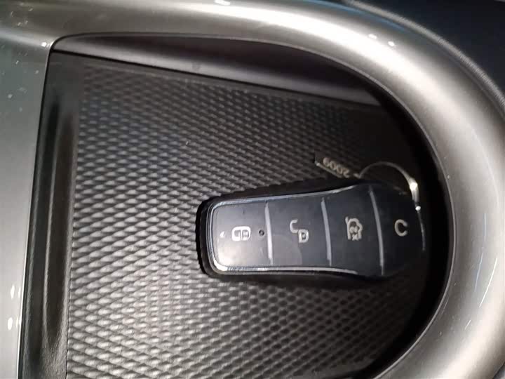 BYD Dolphin 2025 2025款 420km 自由版