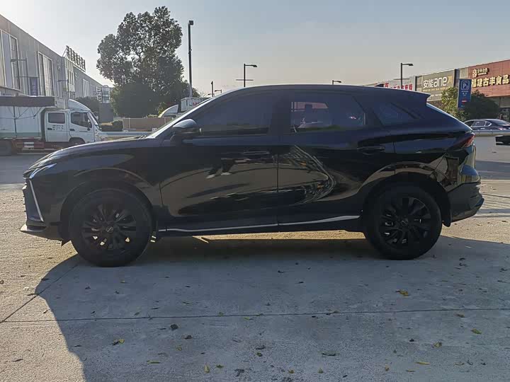 Dongfeng Forthing T5 EVO 2024 2024款 狂飚版 1.5TD DCT铂金款