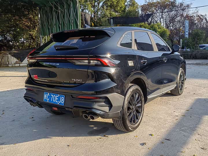 Dongfeng Forthing T5 EVO 2024 2024款 狂飚版 1.5TD DCT铂金款