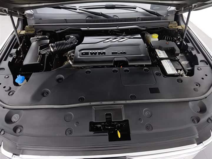 Great Wall Shanhai Poer 2023 2023款 2.4T 柴油极享版