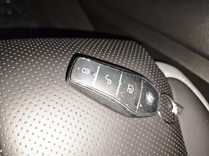 BYD Sea Lion 05 DM-i Hybrid 2025 2025款 DM-i 智驾版 115KM尊荣型