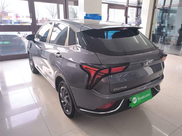 Hozon V 2022 2022款 潮 300 Lite 磷酸铁锂