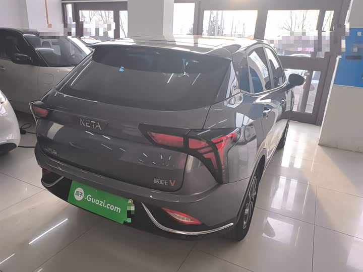 Hozon V 2022 2022款 潮 300 Lite 磷酸铁锂