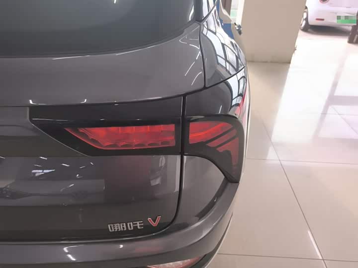 Hozon V 2022 2022款 潮 300 Lite 磷酸铁锂