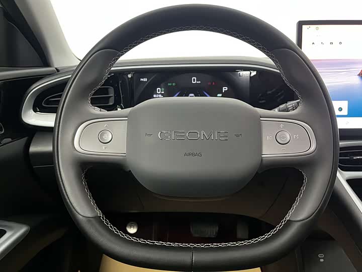 Geely Galaxy Geome 2025 2025款 310km 梦想版