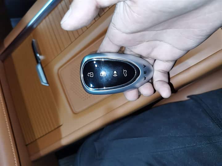 Wey Lanshan 2025 2025款 四驱智驾 Max