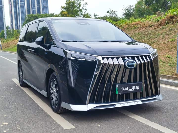 GAC Trumpchi E9 2024 2024款 E9 冠军版