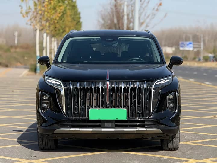 Hongqi HS7 Hybrid 2024 2024款 2.0T PHEV 四驱旗领版 7座