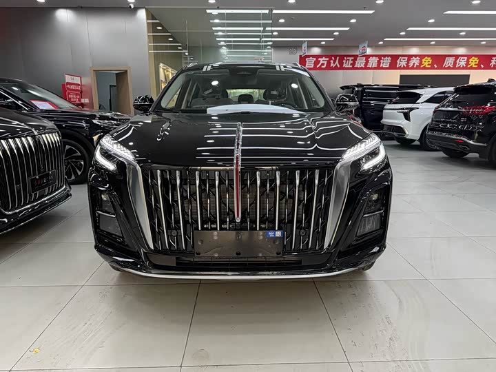 Hongqi HS3 Hybrid 2025 2025款 125km 劲为PLUS 200万辆纪念版