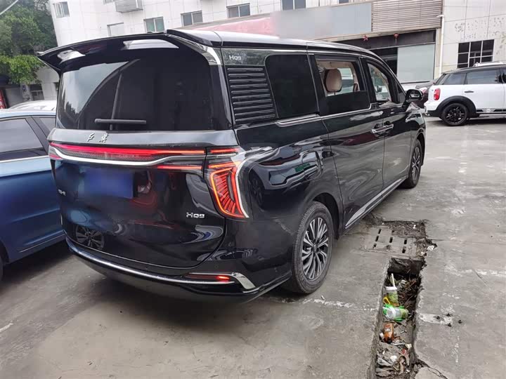 Hongqi HQ9 2024 2024款 2.0T 公务版
