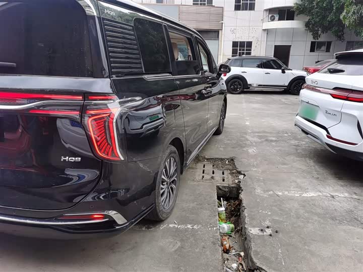 Hongqi HQ9 2024 2024款 2.0T 公务版