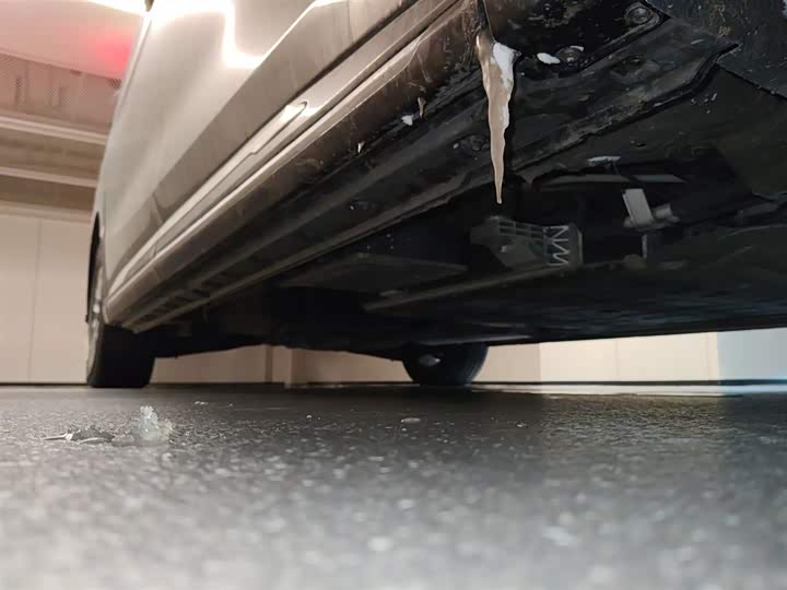 Hongqi HQ9 Hybrid 2024 2024款 2.0T 四驱商务版