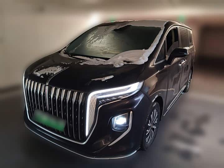 Hongqi HQ9 Hybrid 2024 2024款 2.0T 四驱商务版