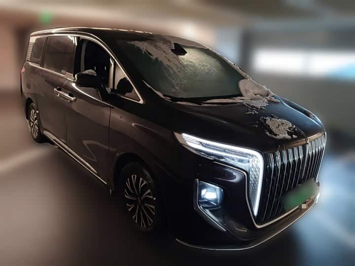 Hongqi HQ9 Hybrid 2024 2024款 2.0T 四驱商务版