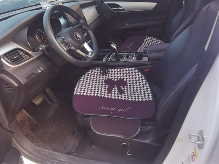 BYD Song Max 2021 2021款 升级版 1.5T 自动尊贵型 6座