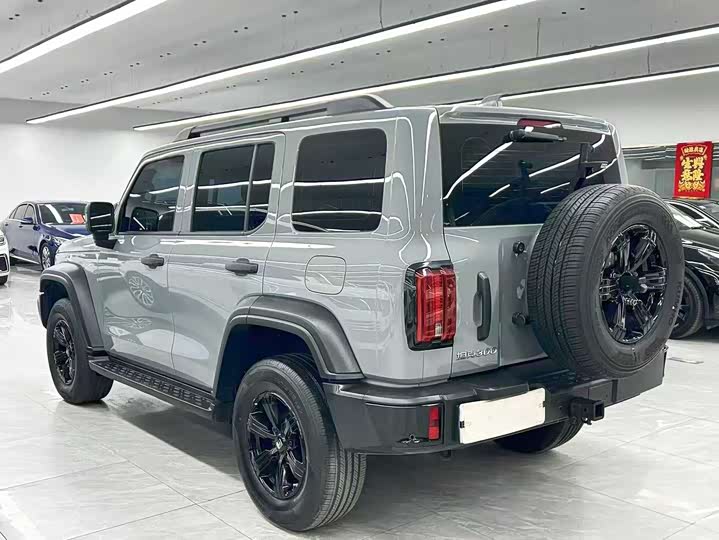 Tank 300 2024 2024款 2.0T 征服者