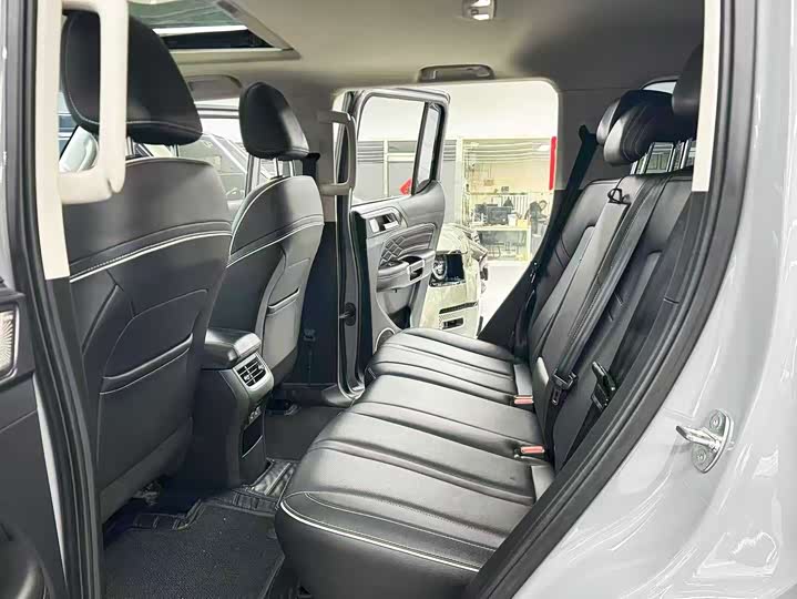 Tank 300 2024 2024款 2.0T 征服者