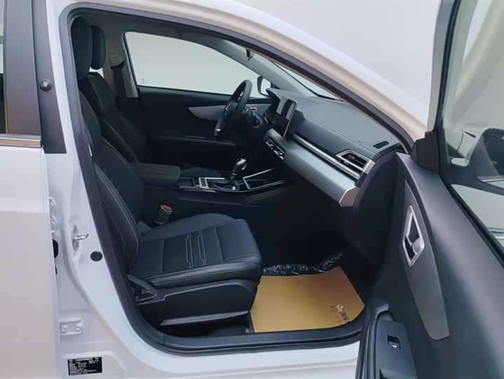 BYD Qin 2019 2019款 1.5L 自动尊贵型