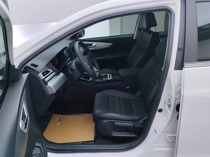 BYD Qin 2019 2019款 1.5L 自动尊贵型