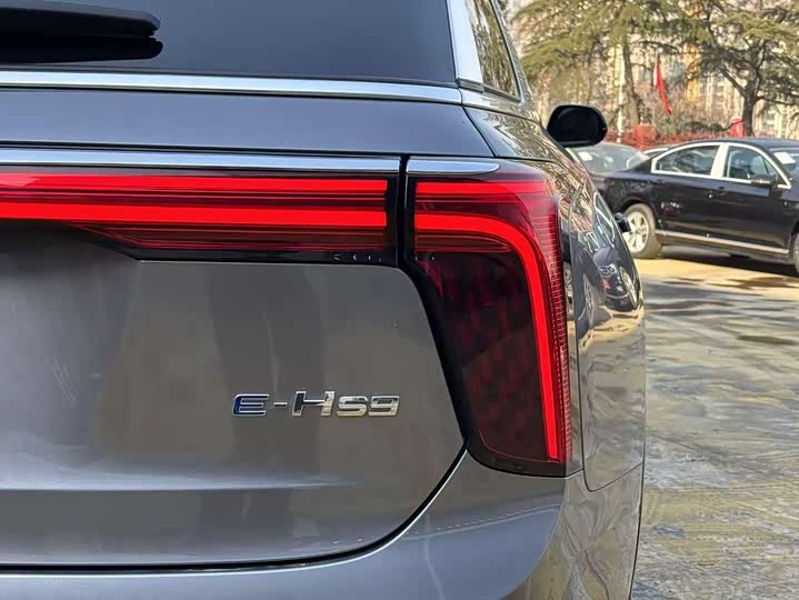 Hongqi E-HS9 2022 2022款 690km 旗享版 六座